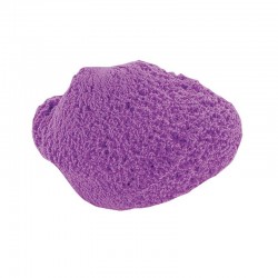 Pat'Zen Violette