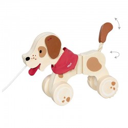 Chien à promener Max